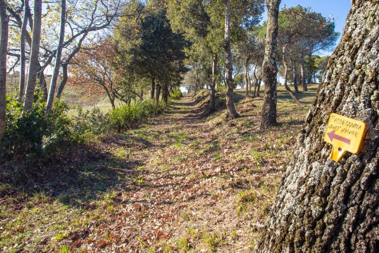 Glamping Debbiare Ξενοδοχείο Riparbella Εξωτερικό φωτογραφία