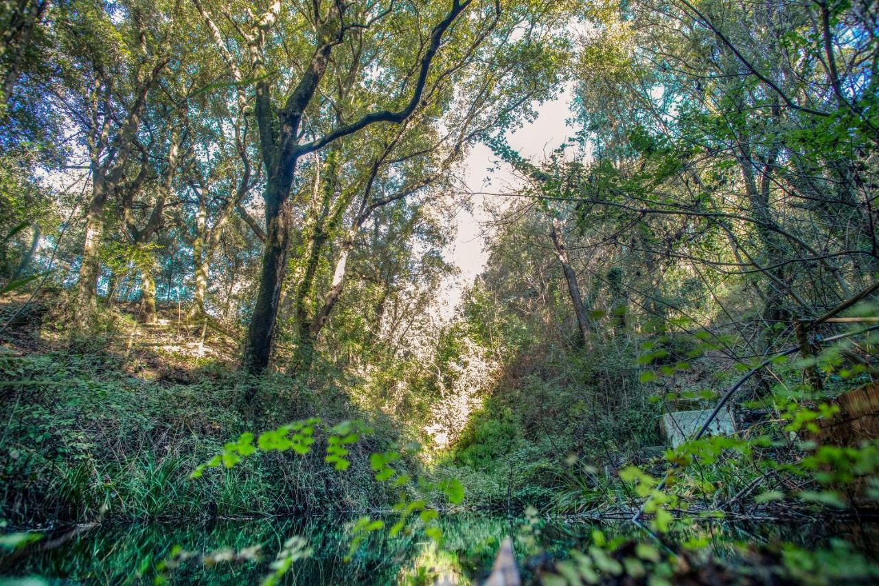 Glamping Debbiare Ξενοδοχείο Riparbella Εξωτερικό φωτογραφία