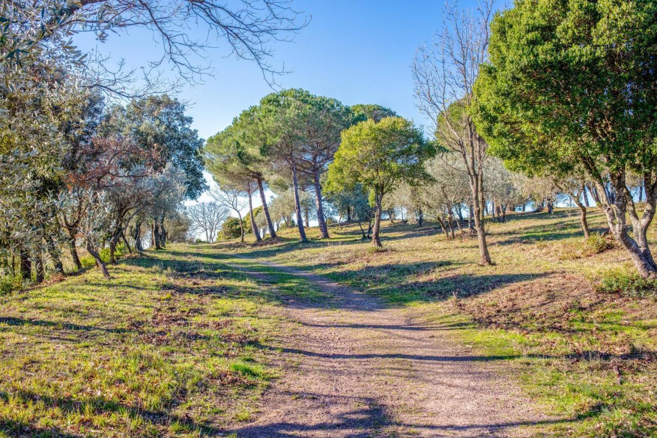 Glamping Debbiare Ξενοδοχείο Riparbella Εξωτερικό φωτογραφία
