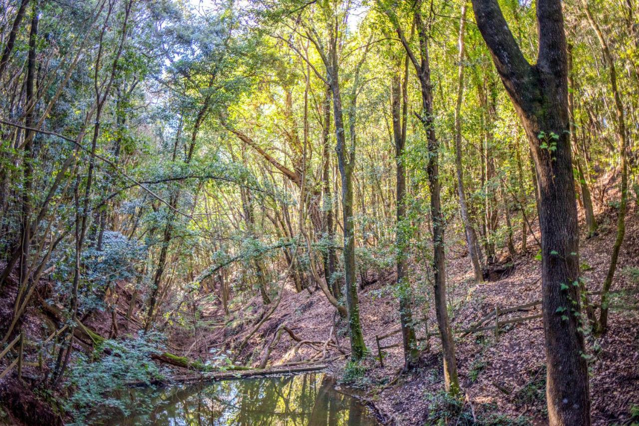 Glamping Debbiare Ξενοδοχείο Riparbella Εξωτερικό φωτογραφία