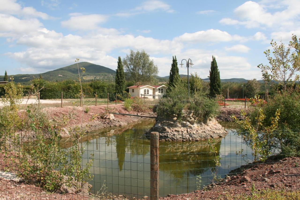 Glamping Debbiare Ξενοδοχείο Riparbella Εξωτερικό φωτογραφία